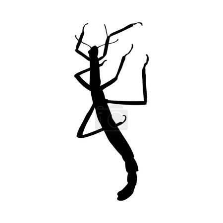 Ilustración de Silueta de mantis. Mantis primer plano detallado. Icono de mantis vectorial sobre fondo blanco. - Imagen libre de derechos