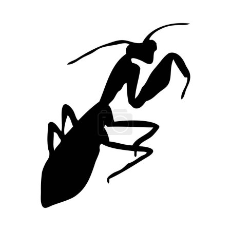 Silhouette of mantis. Mantis close-up detailed. Vector mantis icon on white background.