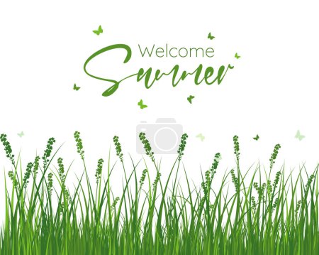 Ilustración de Banner de verano de bienvenida. Hierba y flor sobre fondo rústico de verano. Ilustración vectorial. - Imagen libre de derechos