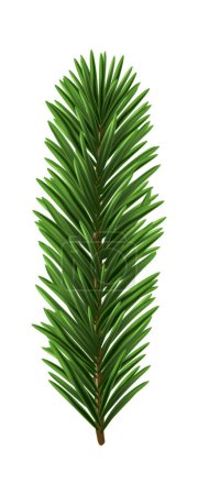 Green Christmas fir tree branch element. Vector illustration.