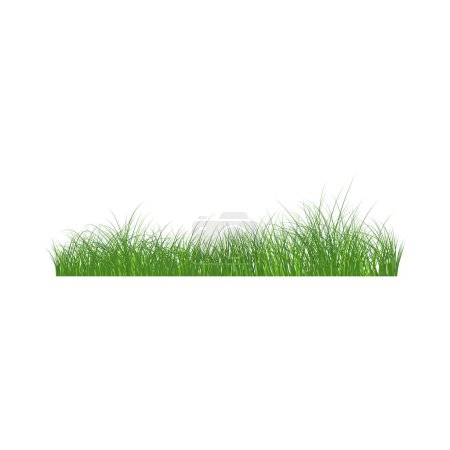 Ilustración de Frontera de hierba verde. Hierba fresca verde alta ilustración aislada. - Imagen libre de derechos