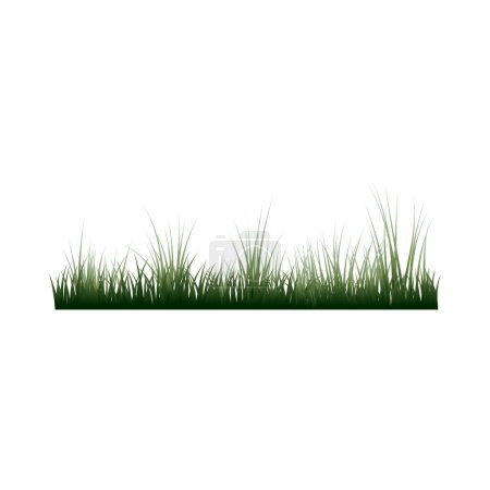 Ilustración de Frontera de hierba verde. Hierba fresca verde alta ilustración aislada. - Imagen libre de derechos