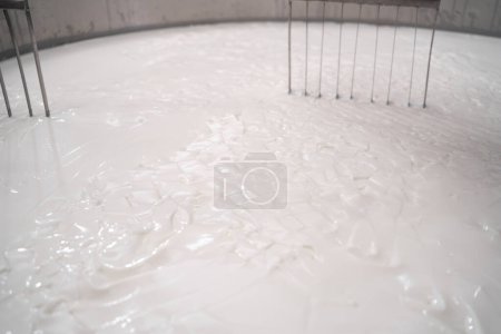 Téléchargez les photos : Cuve de préparation du lait en caillé à la fromagerie, fermer. Concept de production de fromage - en image libre de droit