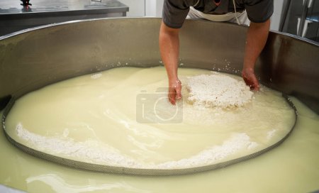 Käsemacher, der Quark und Molke in einem großen Edelstahltank trennt. Käseherstellungskonzept. Kopierraum