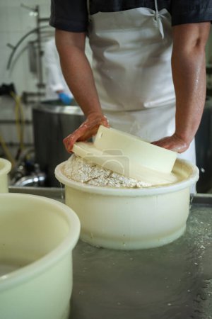 Téléchargez les photos : Gros plan d'un fromager homme formant du fromage dans les moules en plastique de la production de lait. Espace de copie - en image libre de droit