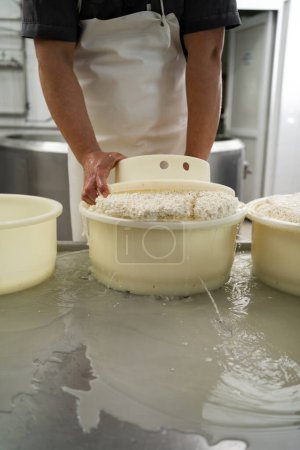 Téléchargez les photos : Homme formant du fromage dans les moules en plastique de l'usine laitière. Fromagerie préparant du fromage frais. Espace de copie - en image libre de droit