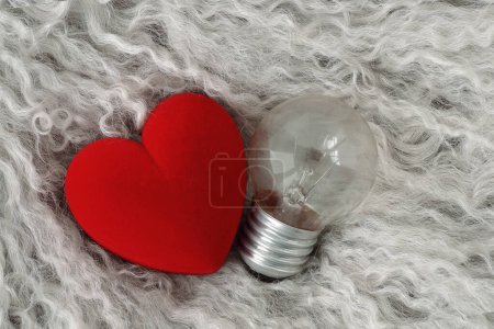 Téléchargez les photos : Coeur avec ampoule sur fond de fourrure lisse - Concept de connexion cœur-cerveau - en image libre de droit