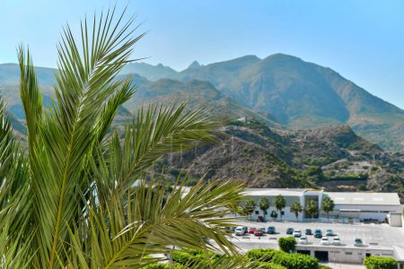 Photo for Car park of Mojacar village on background, lush green palm tree leaves on foreground. Europe, Almeria, Spain - Royalty Free Image