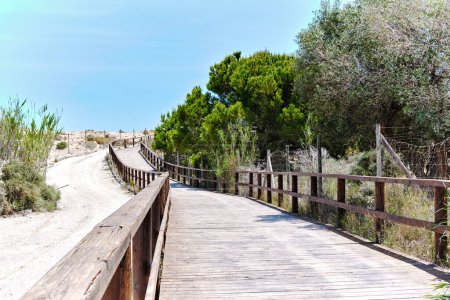 Photo for Wooden empty board walk leading through sand dunes to Mediterranean Sea and sandy beach, no people. Costa Blanca, Europe, Spain. Espana. Travel and tourism concept - Royalty Free Image