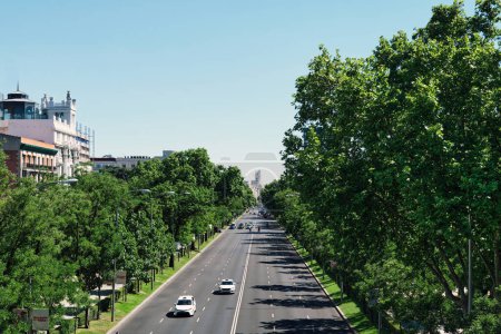 Téléchargez les photos : Route achalandée du centre-ville de Madrid arbres verts le long de l'autoroute, vue d'en haut. Madrid, Espagne - en image libre de droit