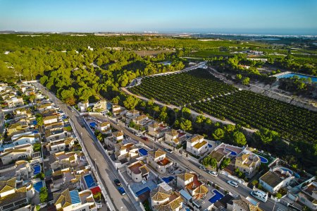 Foto de Vista aérea de las tierras de cultivo rodeadas de árboles y casas adosadas modernas vista desde arriba durante el soleado día de verano. Costa Blanca, España - Imagen libre de derechos