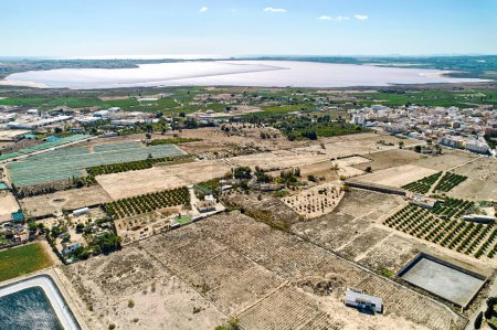 Téléchargez les photos : Vue aérienne sur la campagne de Los Montesinos lors d'une journée ensoleillée d'été. Espagne - en image libre de droit