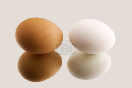 Photo for Two eggs side by side against a light background. One egg is brown with small speckles, and the other is white. - Royalty Free Image