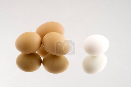 Photo for Group of brown eggs and a single white egg on a reflective surface, illustrates the concept of individuality and uniqueness among the majority - Royalty Free Image