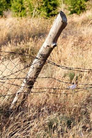 Photo for Close up view of a wooden post and barbed wire fence, rustic countryside, generated with AI. - Royalty Free Image