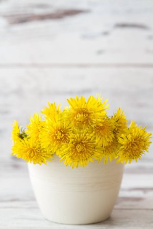 Photo for Vibrant yellow dandelions in white pot against white background. - Royalty Free Image