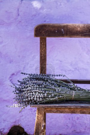 Bündel trockenen Lavendels auf einem in die Jahre gekommenen Holzstuhl vor einem strukturierten lila Hintergrund.