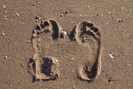 Deeply imprinted footprints on the wet sand of a beach.