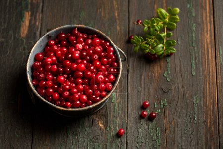 Photo for Fresh ripe lingonberry berry in a metal bowl on a wooden background - Royalty Free Image