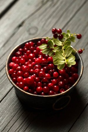 Photo for Fresh ripe lingonberry berry in a metal bowl on a wooden background - Royalty Free Image