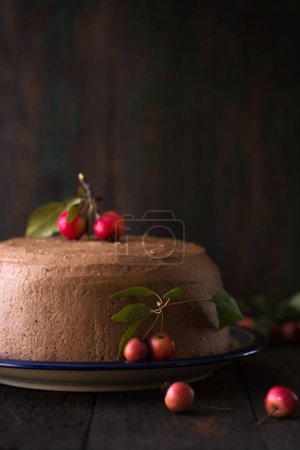 Téléchargez les photos : Gâteau à la crème au chocolat de Noël avec de petites pommes sur un fond sombre - en image libre de droit