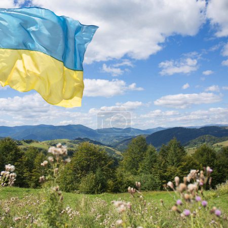 Photo for The Ukrainian flag, a symbol of victory, is flying over the Ukrainian Carpathian Mountains on a sunny day - Royalty Free Image