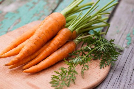 Photo for Fresh crispy carrots with greens on a wooden board - Royalty Free Image