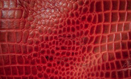 Photo for Close-up of the red wavy plastic surface texture for background and wallpaper. - Royalty Free Image