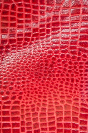 Téléchargez les photos : Gros plan sur la texture rouge ondulée de la surface en plastique pour le fond et le papier peint. - en image libre de droit