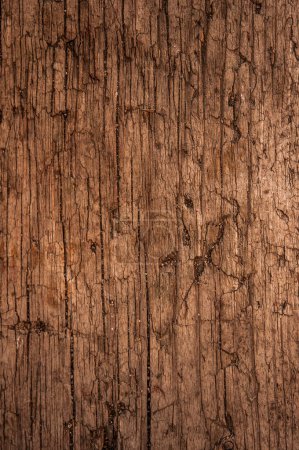 Photo for Wood texture with natural pattern background. Vertical - Royalty Free Image