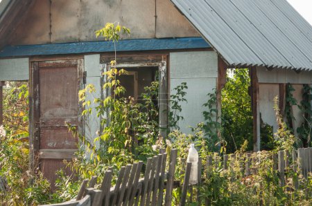 Téléchargez les photos : Bâtiment maison abandonnée envahie de feuilles vertes. maison envahie d'arbustes. maison abandonnée - en image libre de droit
