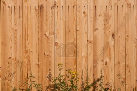Téléchargez les photos : Wood texture with natural pattern background. Vertical - en image libre de droit