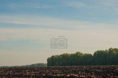 Photo for Plowed field at autumn time - Royalty Free Image