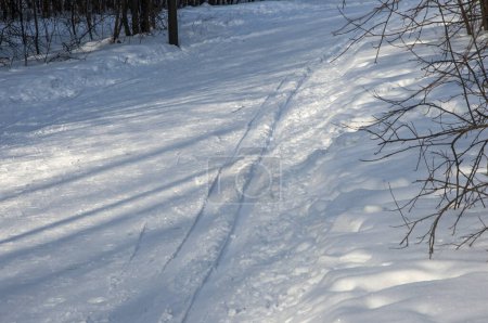 Téléchargez les photos : Une piste de ski de fond passe au-dessus d'un lac ensoleillé - en image libre de droit