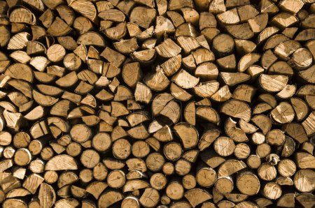 Téléchargez les photos : Contexte des billes de bois hachées empilées. Pile de grumes de bois prête pour l'hiver. souches en bois, bois de chauffage empilées en tas - en image libre de droit