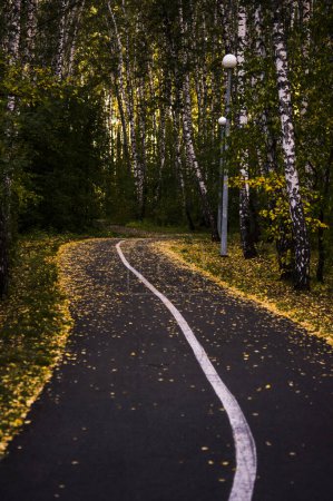Téléchargez les photos : Route asphaltée incurvée et forêt d'automne côte à côte - en image libre de droit