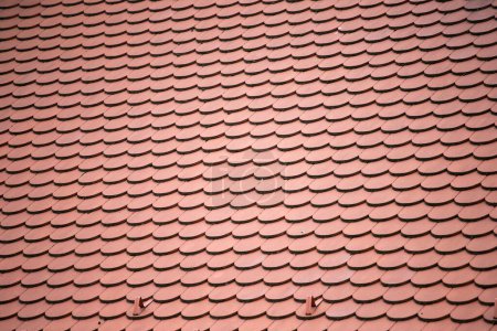 Überlappende Reihen gelber Keramik-Dachziegel bedecken das Dach eines Wohnhauses.