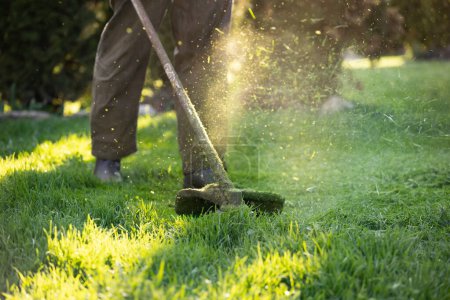 Foto de Cortando la hierba con una cortadora de césped. Jardín trabajo concepto fondo. - Imagen libre de derechos