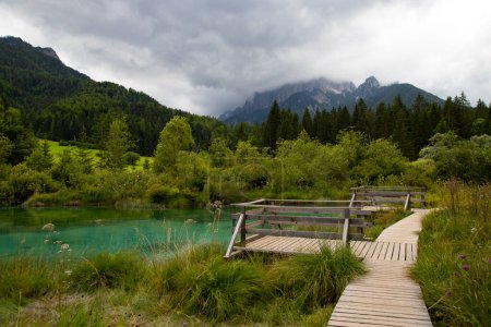Fabuleuse vue d'été sur le lac Zelenci avec de belles reflets dans l'eau. Paysages naturels dans le parc national du Triglav, Slovénie, Europe
