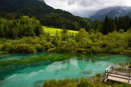 Fabulosa vista de verano sobre el lago Zelenci con hermosos reflejos en el agua. Paisaje natural en el parque nacional de Triglav, Eslovenia, Europa