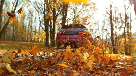 Photo for Close-up of a car wheel driving in forest road, swirling colorful leaves. - Royalty Free Image