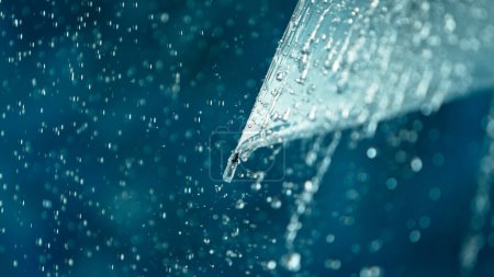 Rain drops on transparent umbrella, freeze motion
