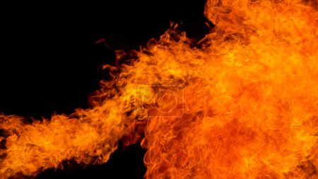 Photo for Fire blasts on black background, close-up - Royalty Free Image