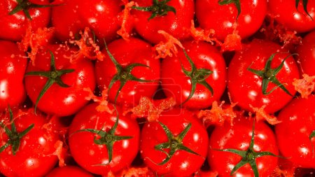 Téléchargez les photos : Prise de vue au gel des tomates fraîches éclaboussées, Gros plan. - en image libre de droit