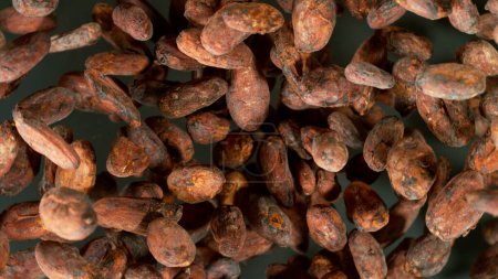 Photo for Freeze Motion Shot of Flying Raw Whole Cocoa Beans - Royalty Free Image