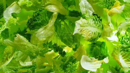 Photo for Freeze motion of rotating fresh lettuce flying up in the air - Royalty Free Image