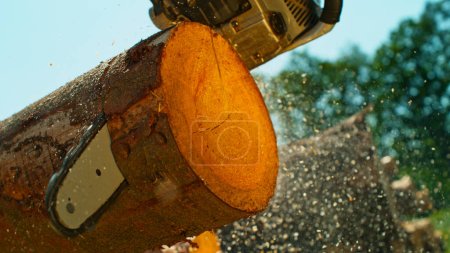 Photo for Freeze Motion of a Chainsaw Cutting the Wooden Log - Royalty Free Image
