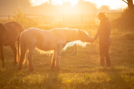 Foto de Tinker caballo Galineers mazorca con una chica en un campo con salida del sol de la mañana - Imagen libre de derechos