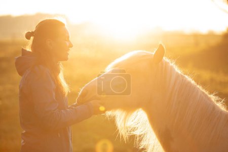 Téléchargez les photos : Cheval bricoleur Galineers Cob avec une fille dans un champ avec lever du soleil du matin - en image libre de droit