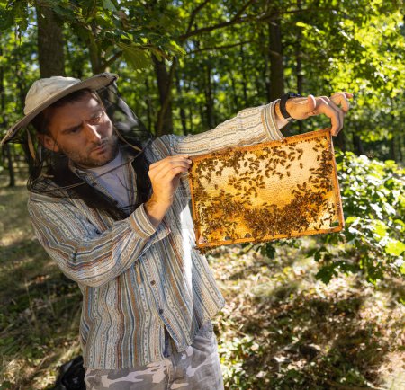 Foto de Bees Walking on Honeycomb and Carying Honey. Macro disparo de insecto domesticado, apicultor y agricultores de la vida. - Imagen libre de derechos